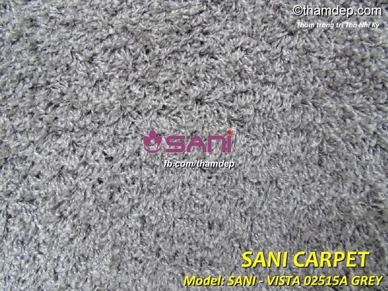 vista 02515a grey zoom tham thi nhi ky