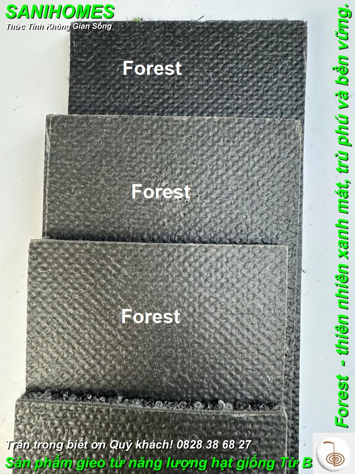 tham trai san de cao su forest 4 968
