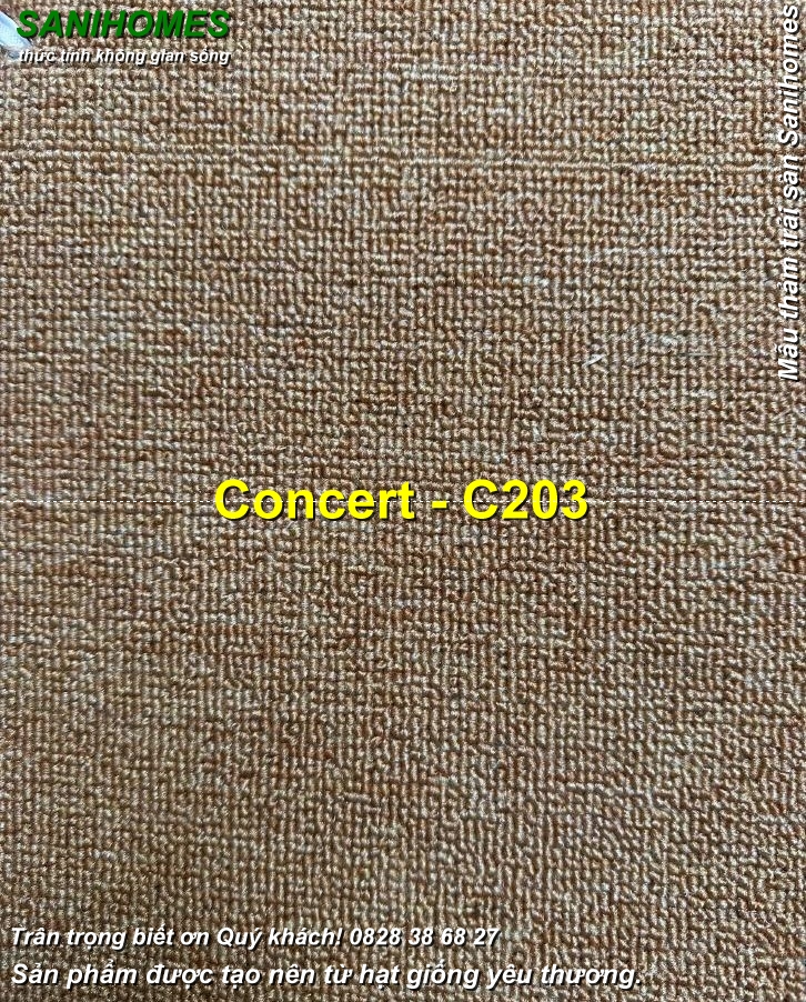 tham trai san hoa nhac concert c203